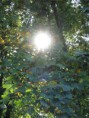/album/emotionen/img-0190-jpg/
