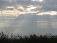 /album/emotionen/img-0060-jpg/